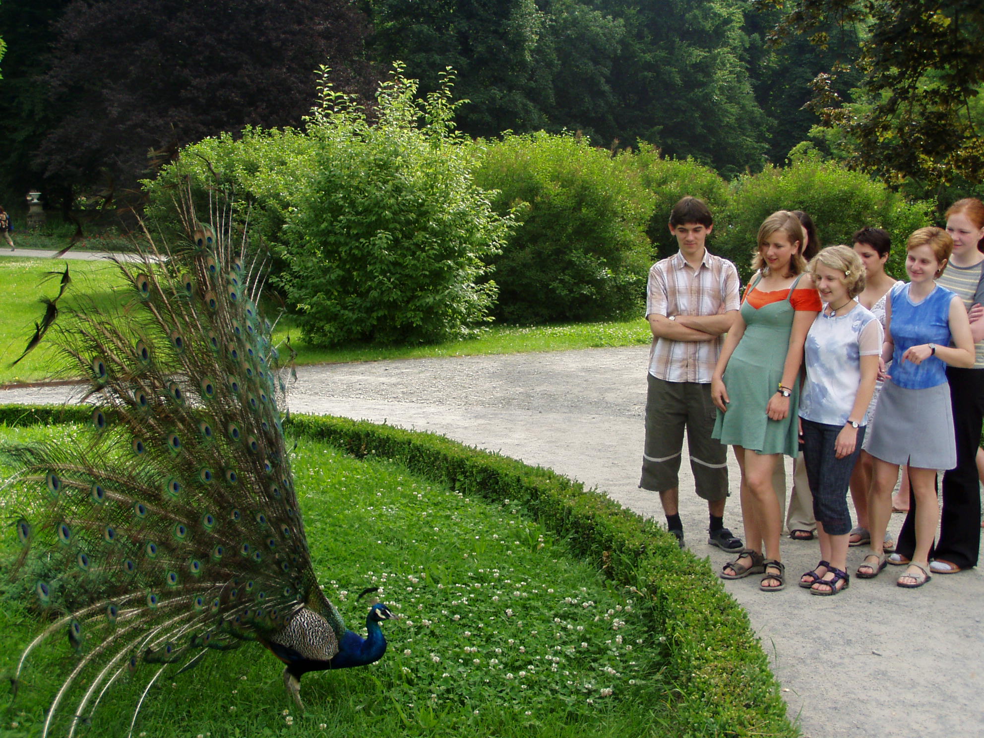 P1010032.JPG